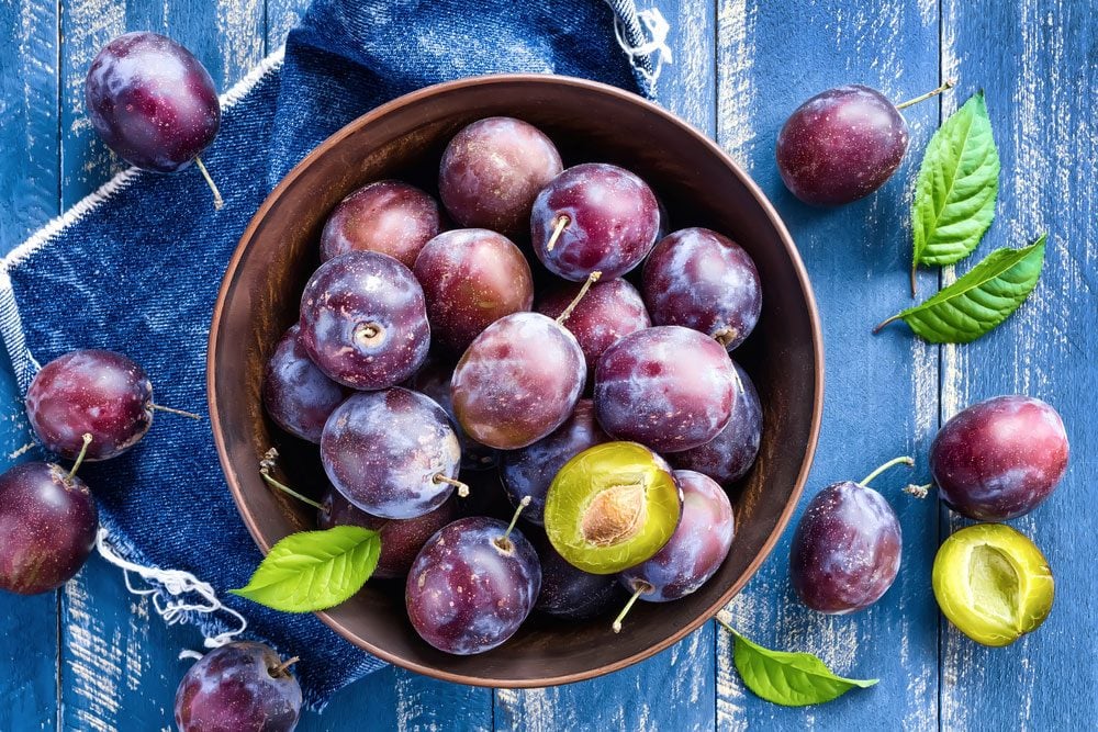 Health Benefits Of Eating Plums Best Health Canada 6412