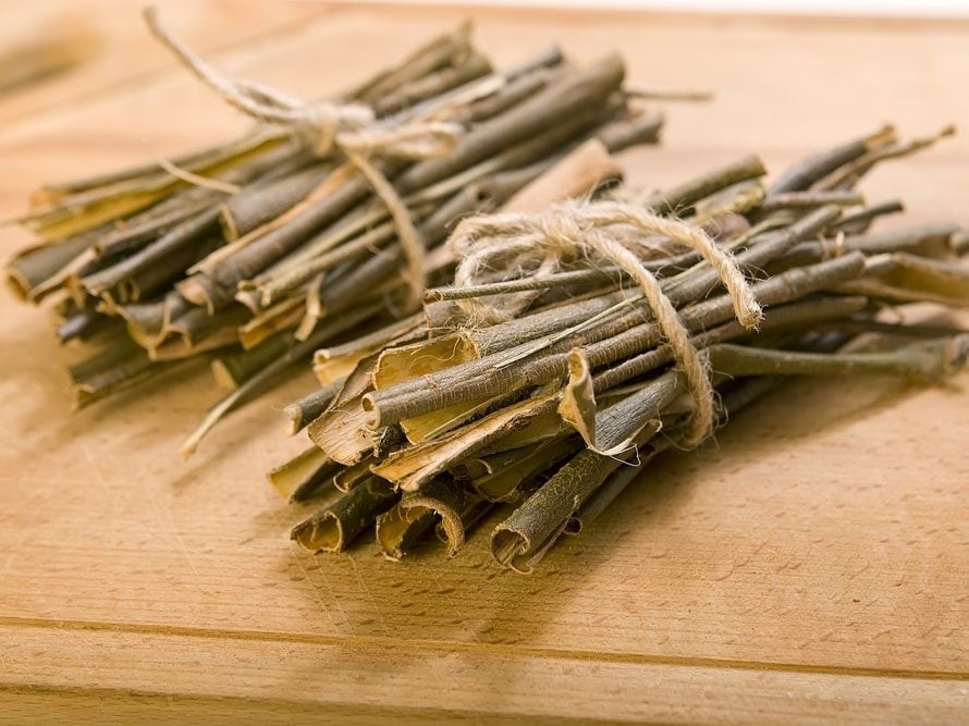 Willow A Natural Remedy For Pain Better Than Aspirin 