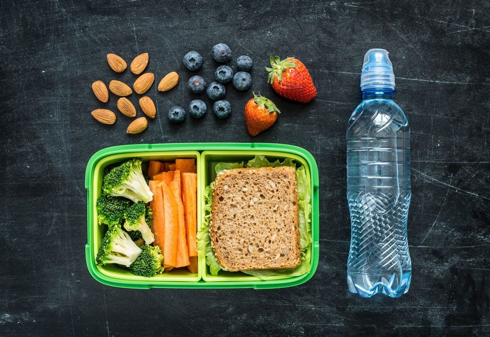 packed lunches for adults