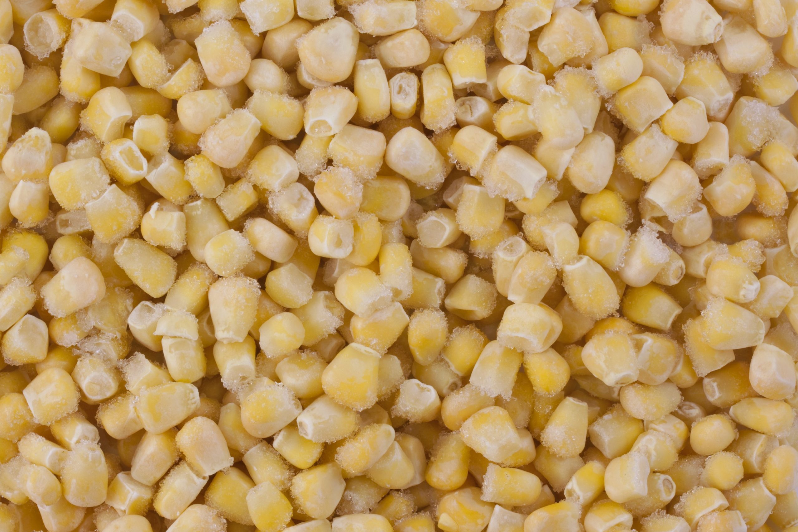 frozen corn
