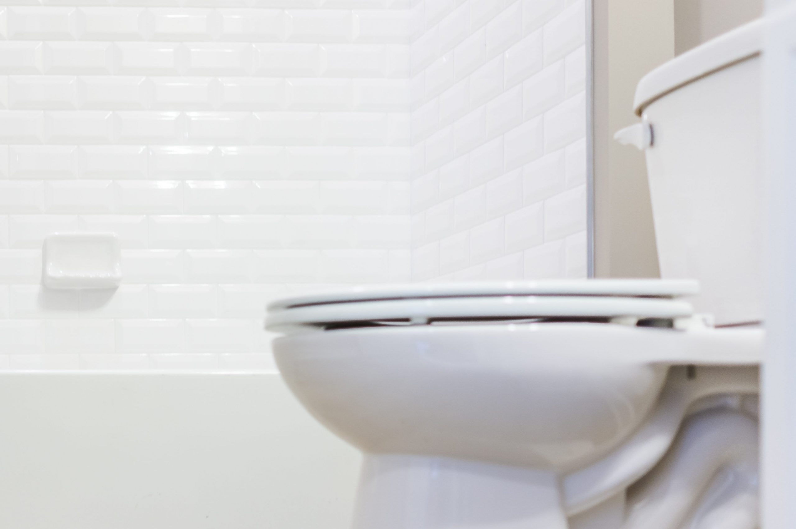 Modern white plain clean toilet bathroom with shower tiles and hardwood floors from ground level