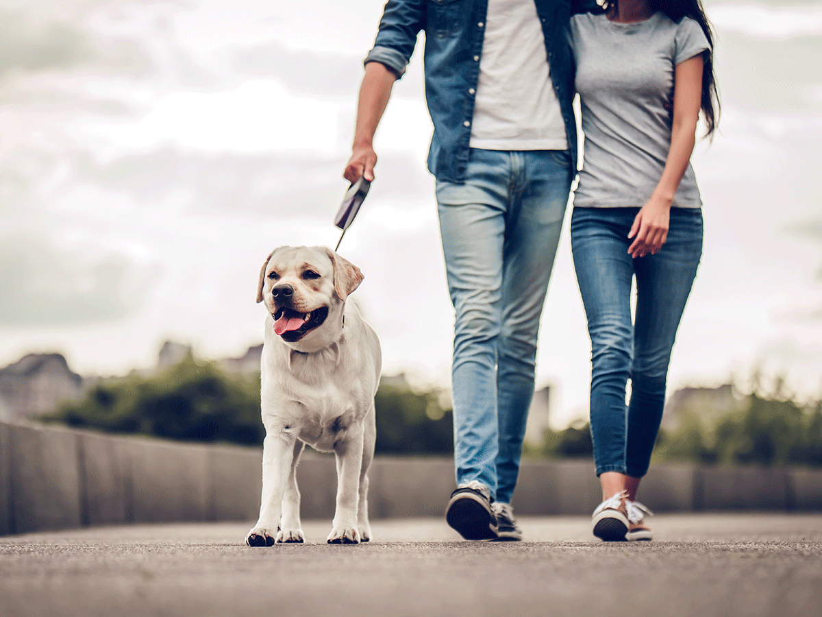 4 Reasons a Pet Is Good for You | Best Health Canada