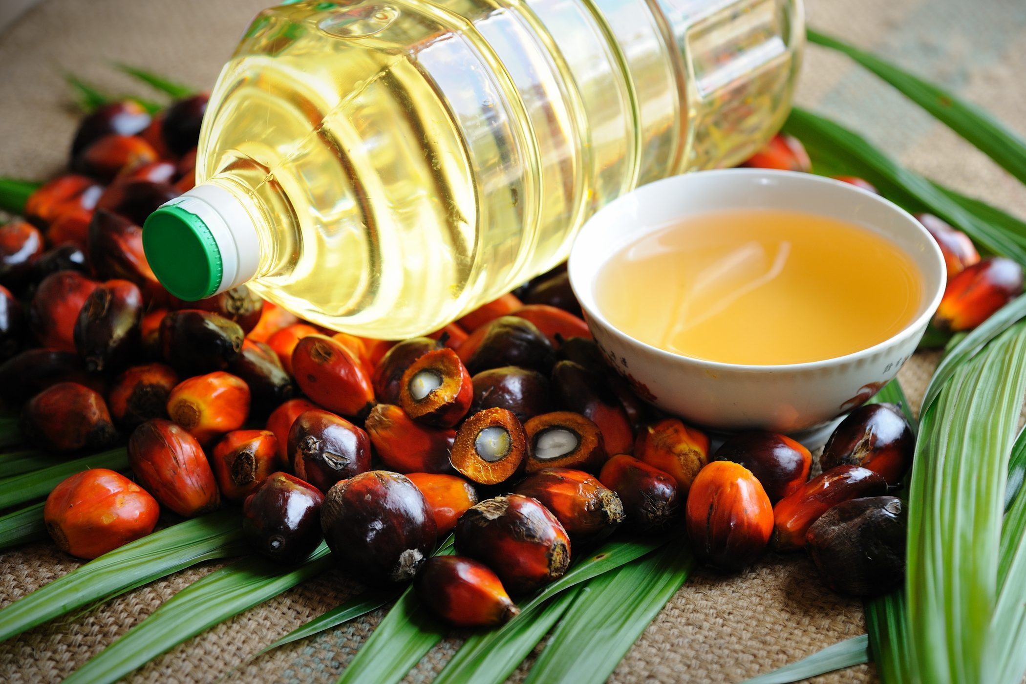 is-palm-oil-bad-for-you-best-health-magazine-canada