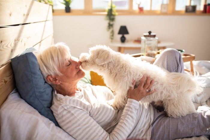 Everything Veterinarians Want You to Know About Hypoallergenic Dogs