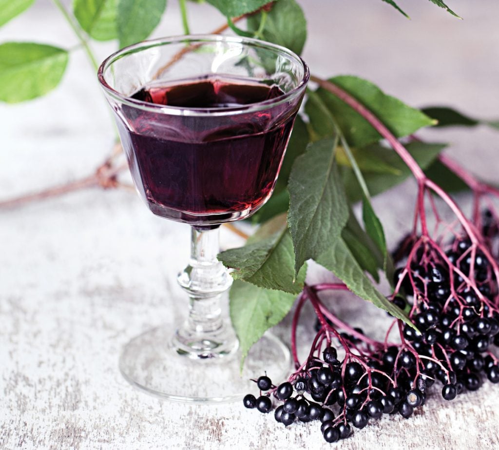 Elderberry Recipes From Teas and Cocktails to a Delicious Crisp Best