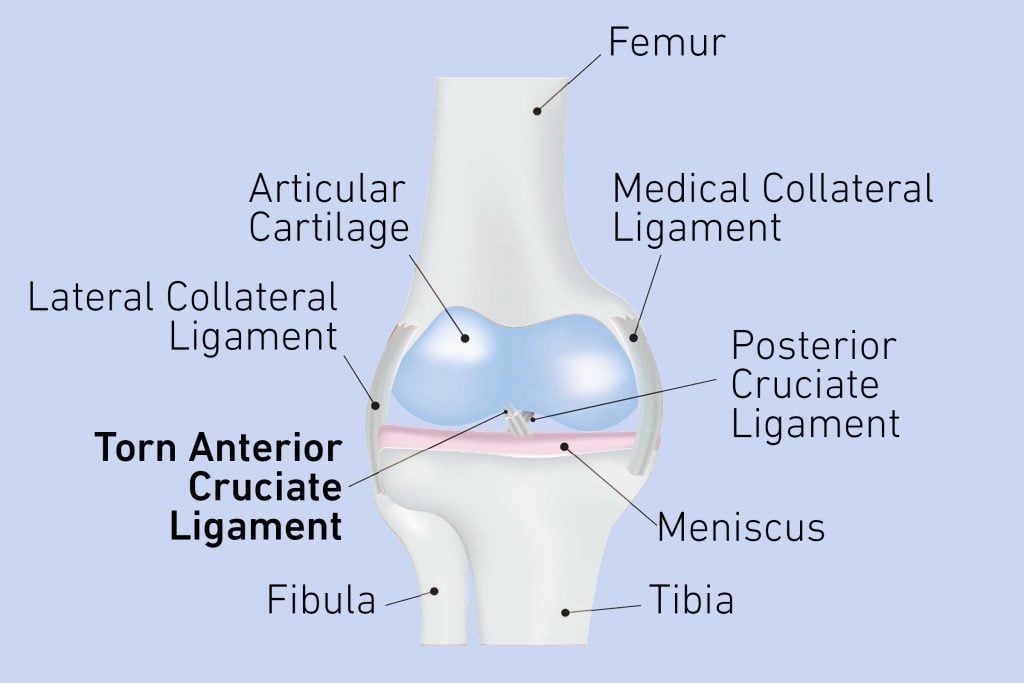 pain-behind-knee-causes-and-treatment-for-knee-pain-best-health